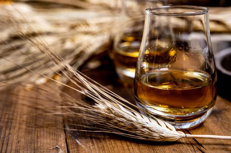 Các loại lúa mạch làm rượu whisky phổ biến
