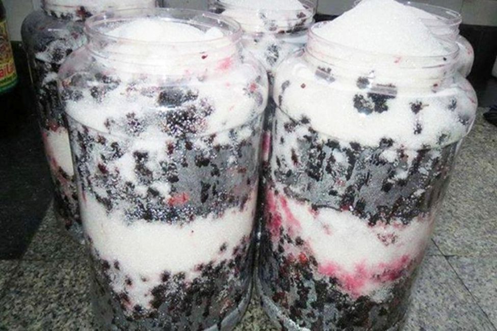 Hướng dẫn cách làm rượu vang dâu tằm tại nhà chi tiết