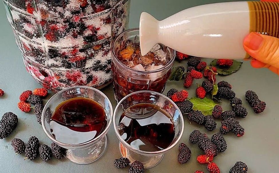 Hướng dẫn cách làm rượu vang dâu tằm tại nhà chi tiết