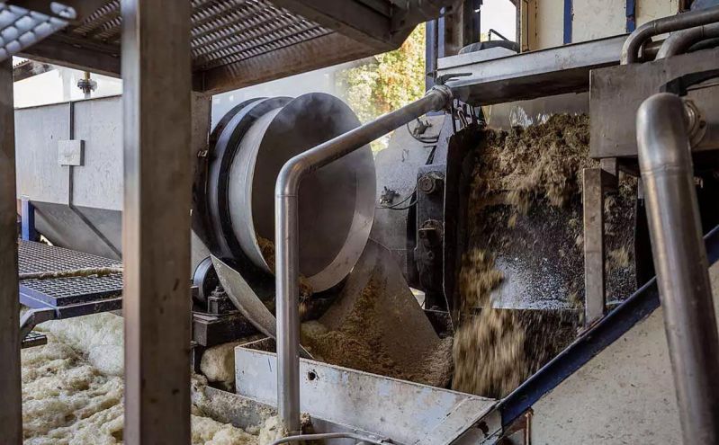 Mía tươi sau khi được thu hoạch về sẽ được đem đi ép lấy nước và tiến hành lên men. 