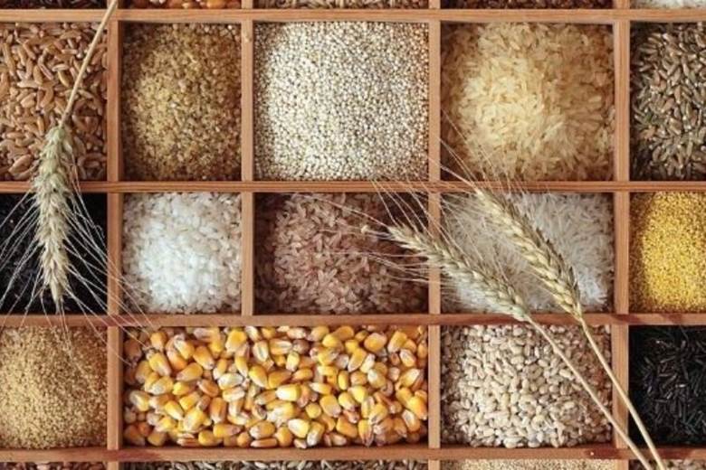 Nguyên liệu là yếu tố quan trọng quyết định chất lượng của rượu whisky