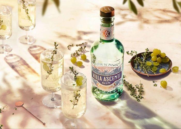 Flavoured Gin và Sloe Gin 