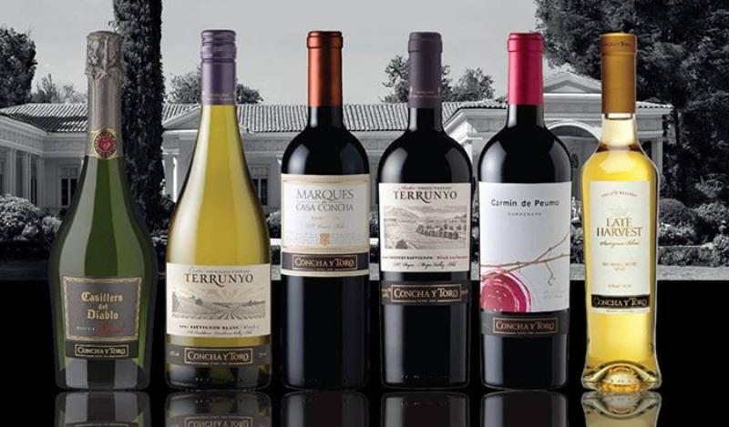 Trên thế giới có hàng trăm loại rượu vang khác nhau. 