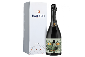 Rượu Vang Sủi Bervini Brut Porosecco