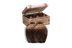 Rượu Mao đài phong tàng lão tửu ủ chấu