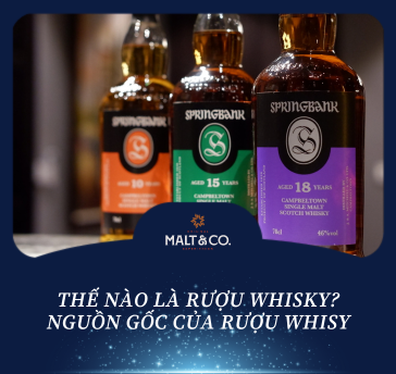 THẾ NÀO LÀ RƯỢU WHISKY? NGUỒN GỐC CỦA RƯỢU WHISY