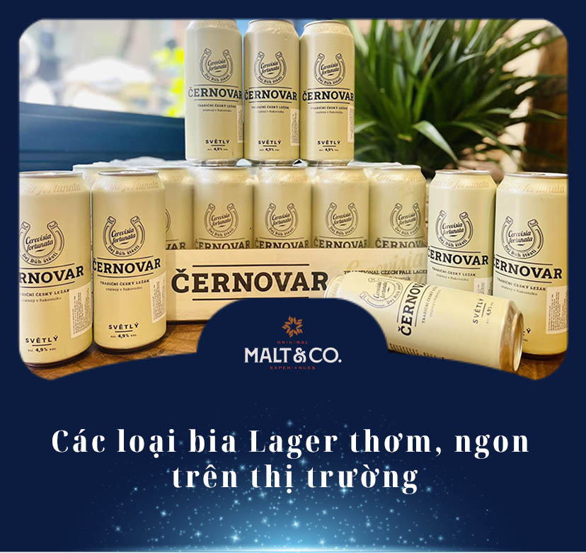 Các loại bia Lager thơm, ngon trên thị trường