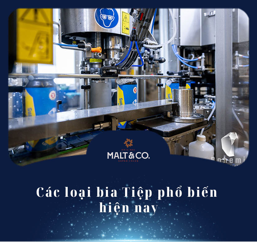 Các loại bia Tiệp phổ biến - Hành trình khám phá hương vị “vàng óng”