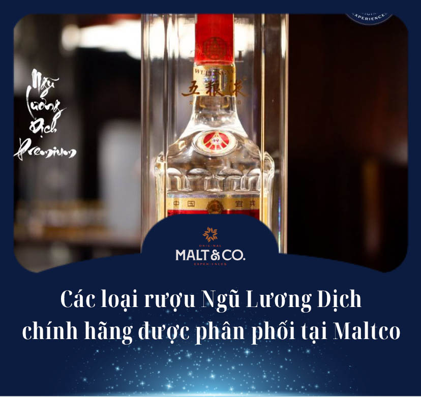 Các loại rượu Ngũ Lương Dịch chính hãng được phân phối tại Maltco 