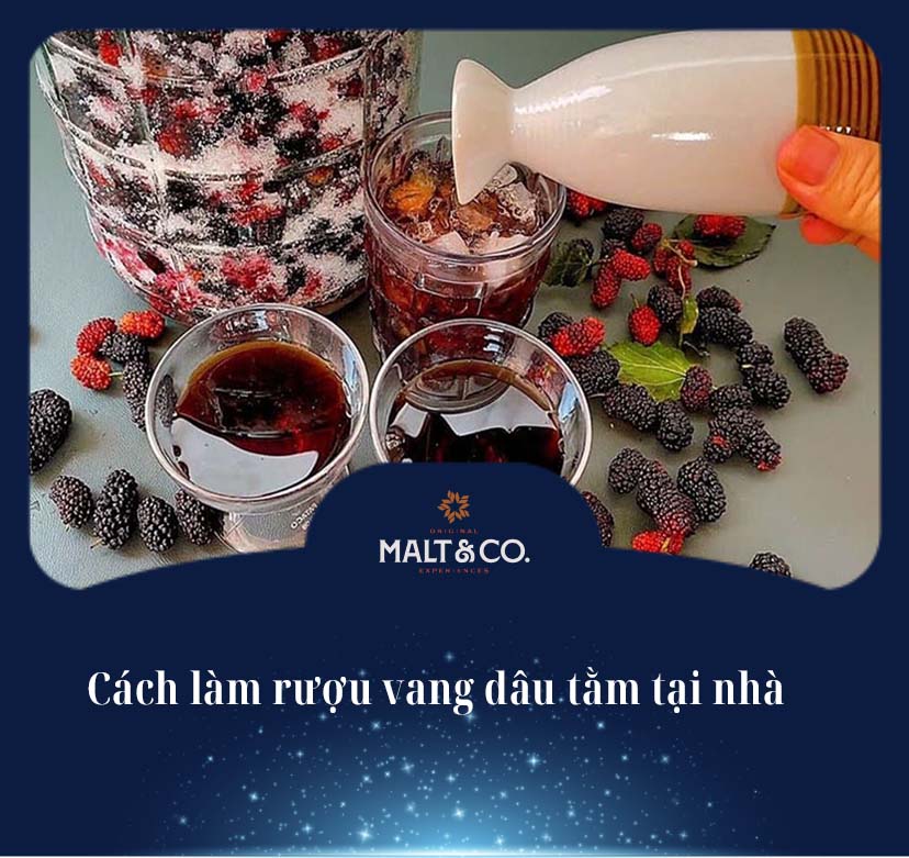 Cách làm rượu vang dâu tằm tại nhà chi tiết