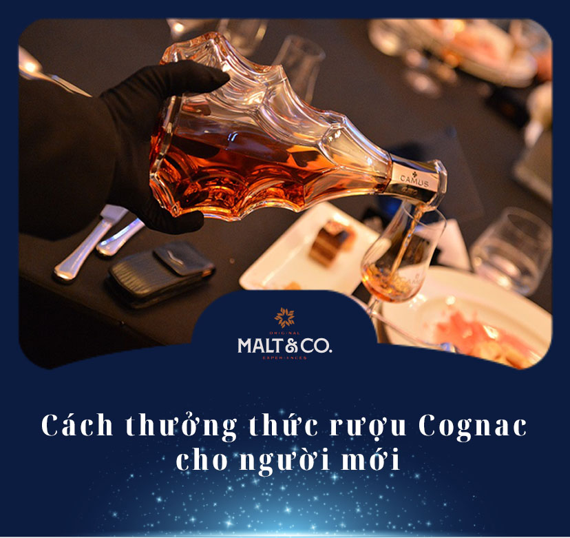 Cách thưởng thức rượu Cognac cho người mới (Chia sẻ từ chuyên gia)