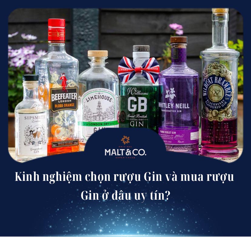 Kinh nghiệm chọn rượu Gin và mua rượu Gin ở đâu uy tín?