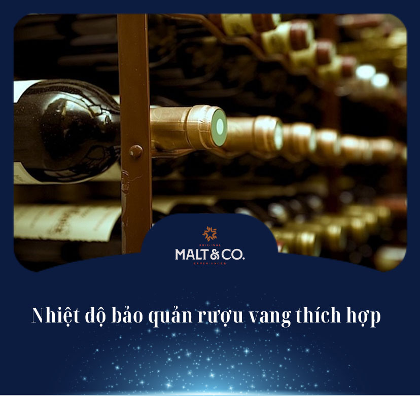 Nhiệt độ bảo quản rượu vang thích hợp cho từng loại 