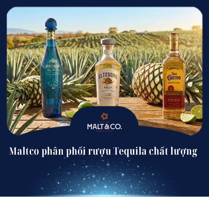Maltco phân phối rượu Tequila chất lượng