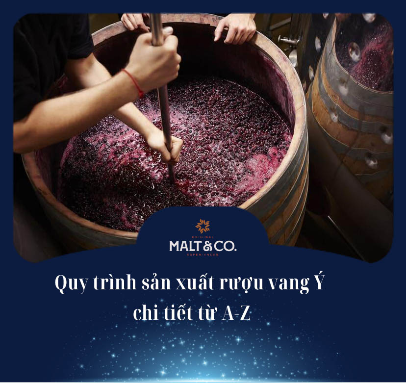 Quy trình sản xuất rượu vang Ý chi tiết từ A-Z