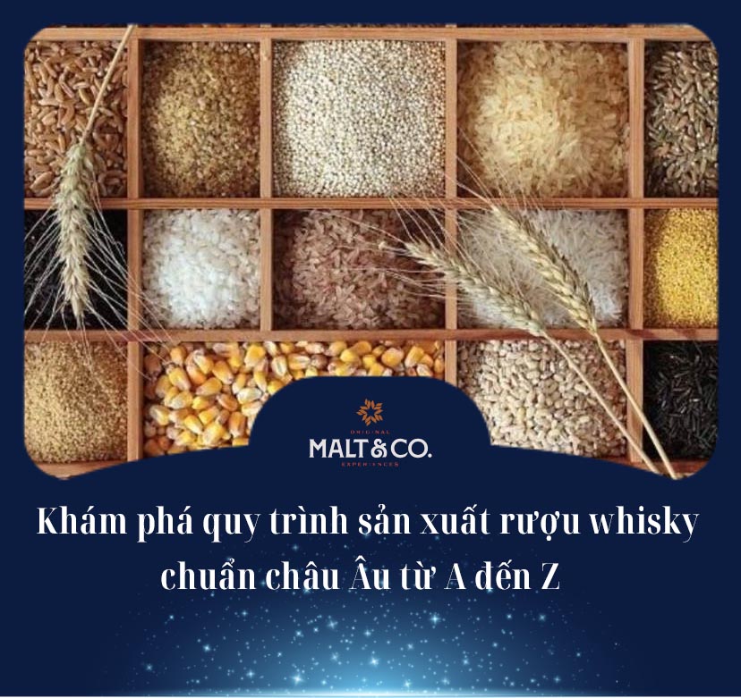 Khám phá quy trình sản xuất rượu whisky chuẩn châu Âu từ A đến Z