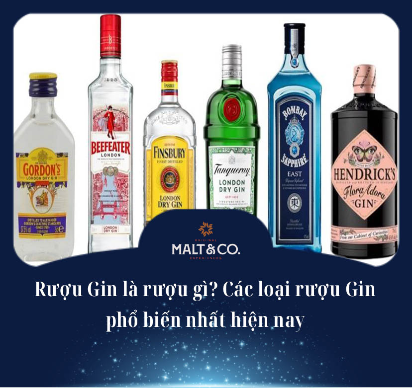 Rượu Gin là rượu gì? Các loại rượu Gin phổ biến nhất hiện nay 