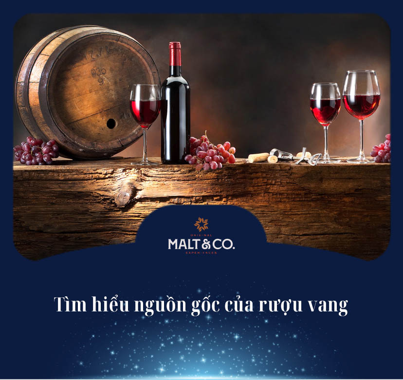 Tìm hiểu về nguồn gốc của rượu vang 