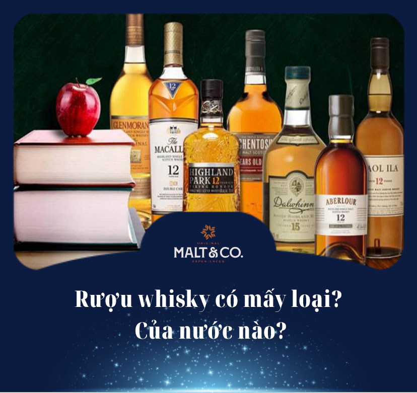 Giải đáp: Rượu whisky có mấy loại? Của nước nào?