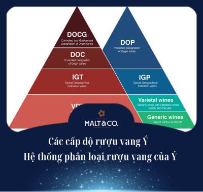 Các cấp độ rượu vang Ý – Hệ thống phân loại rượu vang của Ý