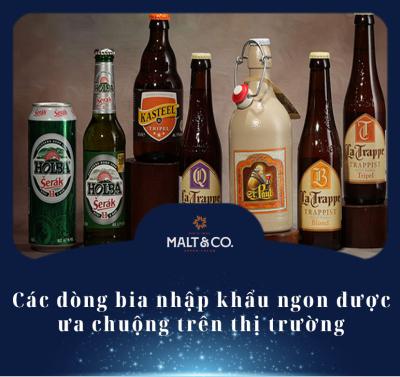 Các dòng bia nhập khẩu ngon được ưa chuộng trên thị trường 