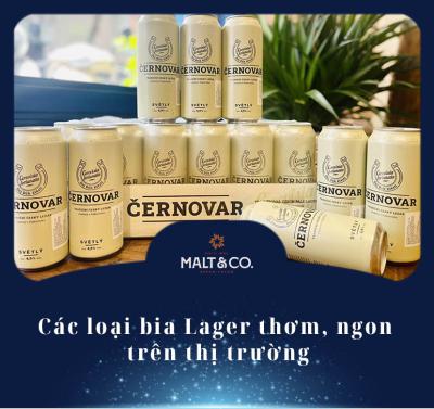 Các loại bia Lager thơm, ngon trên thị trường