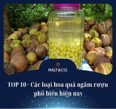TOP 10+ Các loại hoa quả ngâm rượu phổ biến hiện nay