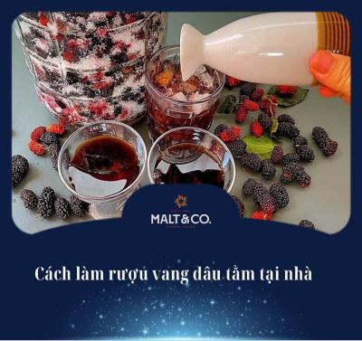 Cách làm rượu vang dâu tằm tại nhà chi tiết