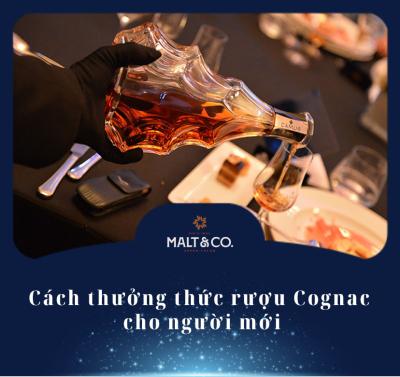 Cách thưởng thức rượu Cognac cho người mới (Chia sẻ từ chuyên gia)