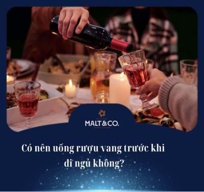 Giải đáp thắc mắc có nên uống rượu vang trước khi đi ngủ không?