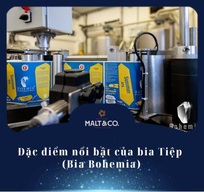 Đặc điểm nổi bật của bia Tiệp - Hương vị huyền thoại từ Bohemia