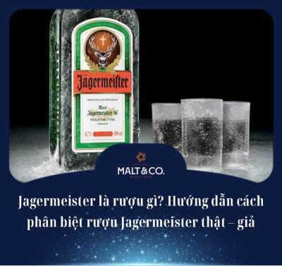 Jagermeister là rượu gì? Hướng dẫn cách phân biệt rượu Jagermeister thật – giả 