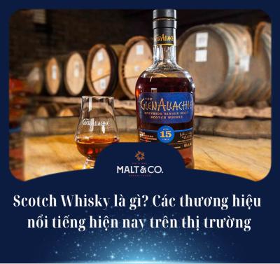 Scotch Whisky là gì? Các thương hiệu nổi tiếng hiện nay trên thị trường