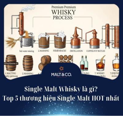 Single Malt Whisky là gì? Top 5 thương hiệu Single Malt HOT nhất 
