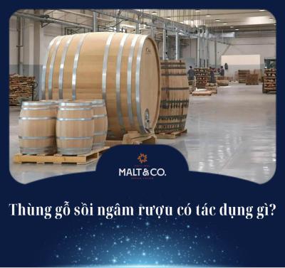 Thùng gỗ sồi ngâm rượu có tác dụng gì? Góc nhìn chuyên gia về hương vị và sức khỏe