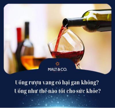 Uống rượu vang có hại gan không? Uống như thế nào tốt cho sức khỏe?