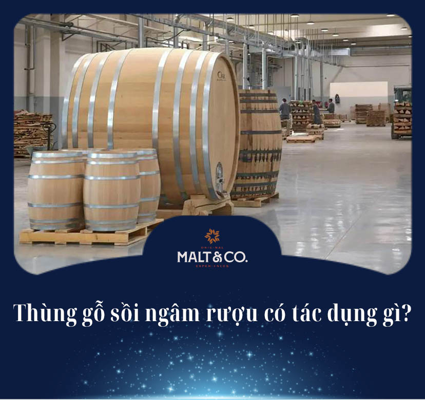 Thùng gỗ sồi ngâm rượu có tác dụng gì? Góc nhìn chuyên gia về hương vị và sức khỏe