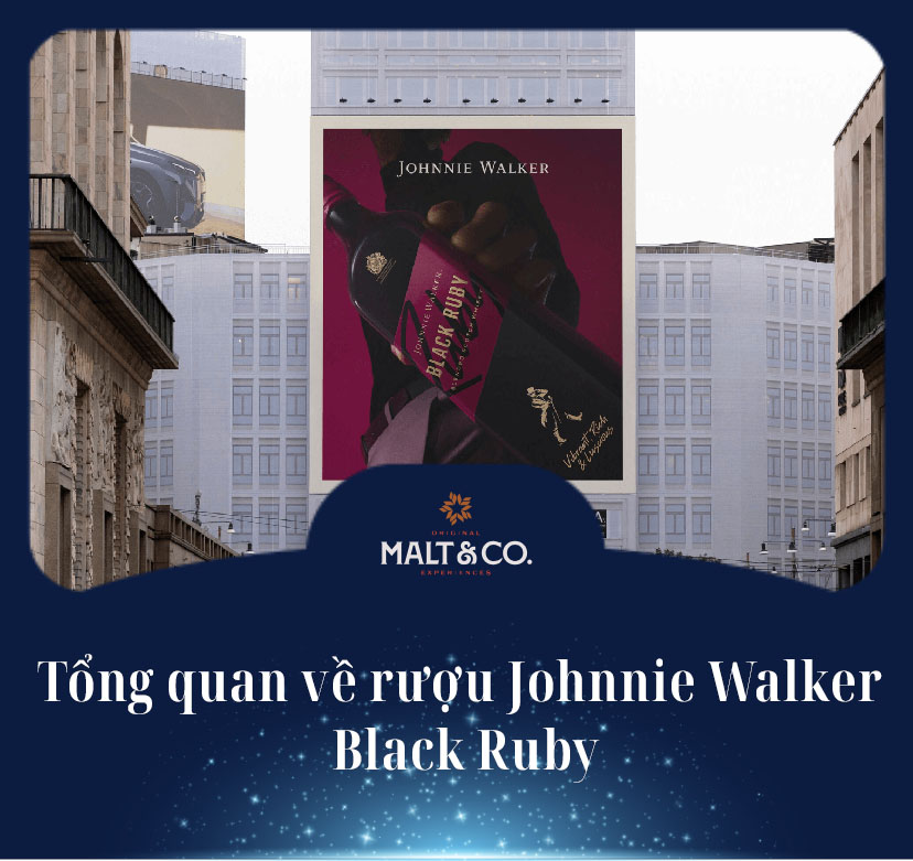 Tổng quan về rượu Johnnie Walker Black Ruby