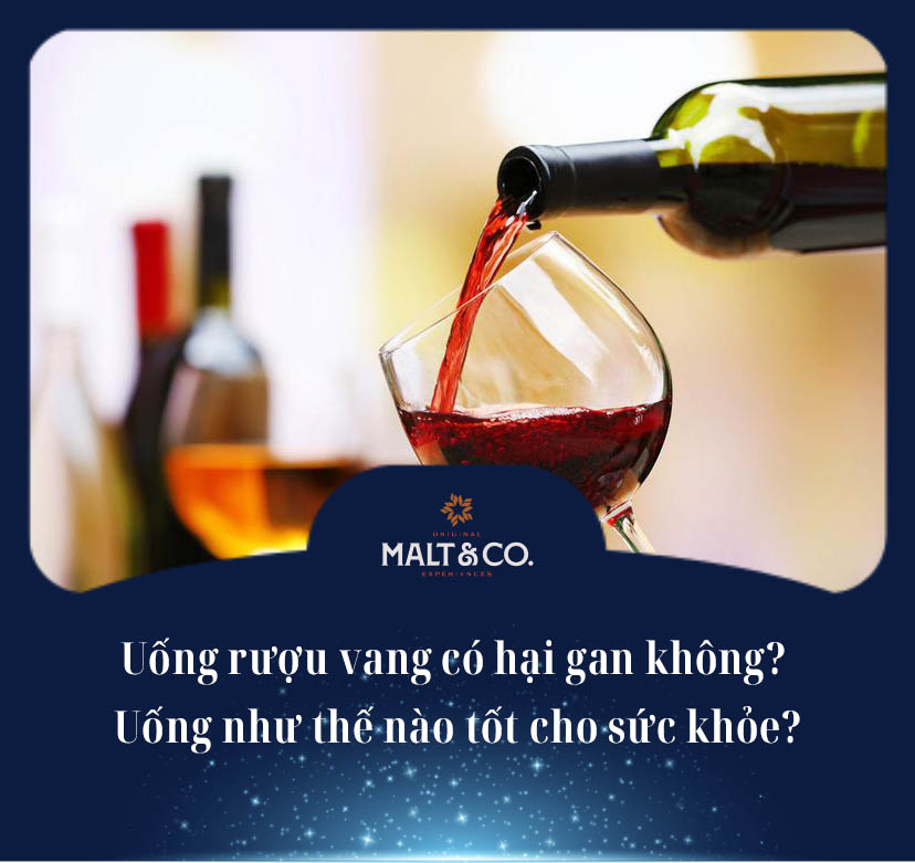 Uống rượu vang có hại gan không? Uống như thế nào tốt cho sức khỏe? 